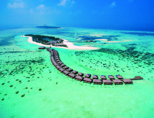 Viaggi di nozze con Azemar: luoghi da sogno tra Maldive e Zanzibar